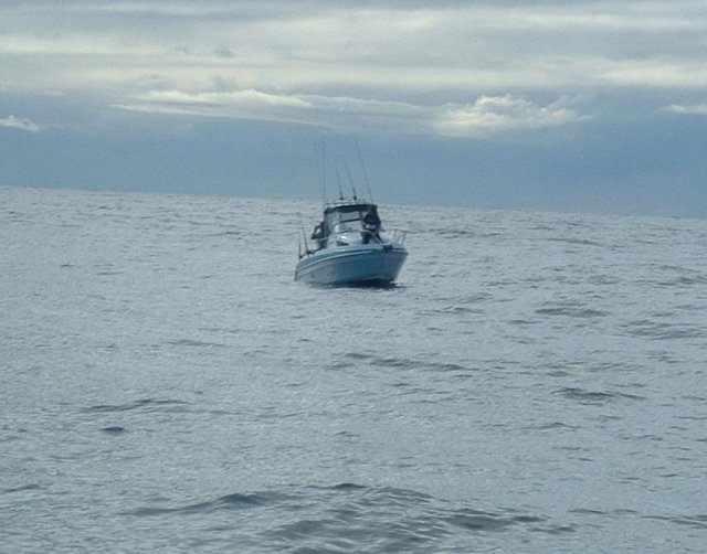 Paul G watching Whales.
